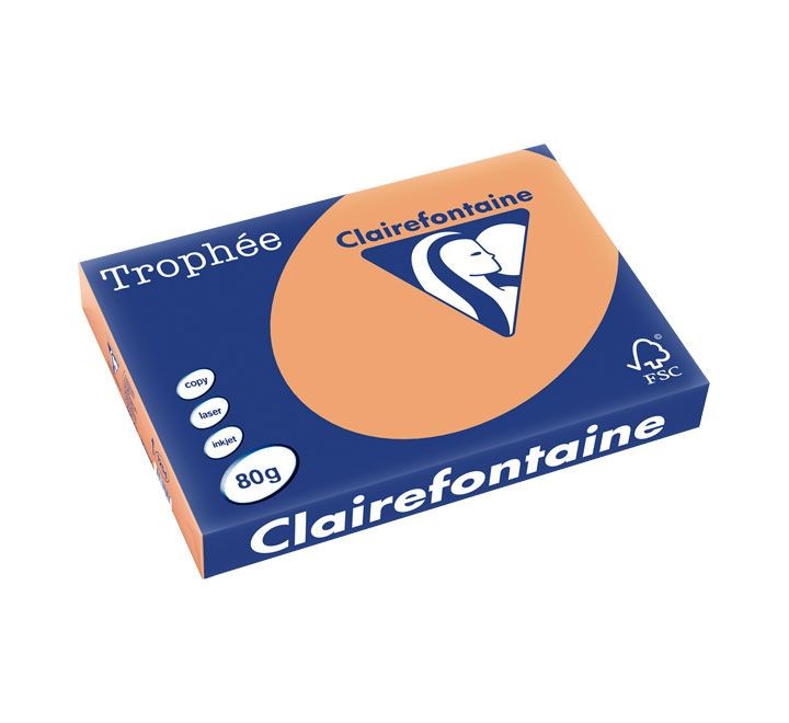 paq. 500h pap. trophee clf suave a3 80g caramelo