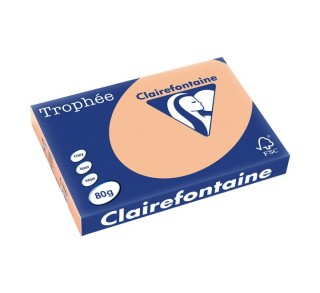 paq. 500h pap. trophee clf suave a3 80g albarico.