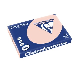 paq. 500h pap. trophee clf suave a3 80g carne