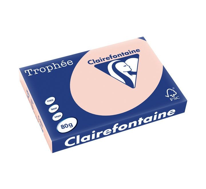 paq. 500h pap. trophee clf suave a3 80g carne