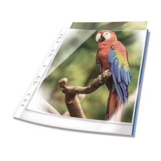 durable 265506 protector de hojas a4 polipropileno (pp) 25 pieza(s)