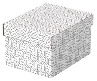pack 3 cajas blancas 255x200x150mm esselte 628280