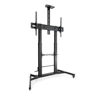 tooq tooq zeus 2,54 m  100  negro