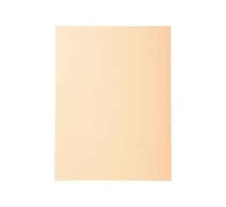 c.100 subcarp. exacompta forever 170gr crema