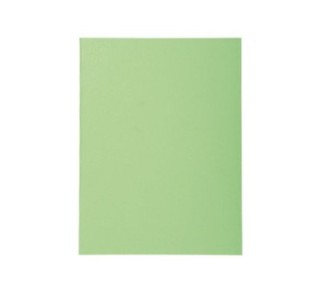 c.100 subcarp. exacompta forever 170gr  verde