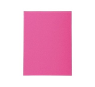 c.100 subcarp. exacompta forever 170gr fucsia