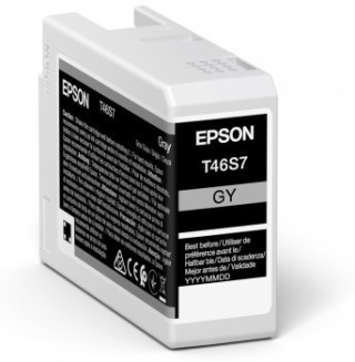 epson epson  singlepack gray t46s7 ultrachrome pro 10 ink 25ml sc   p700