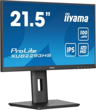 iiyama monitor iiyama  tft 21,5"/54,5cm prolite