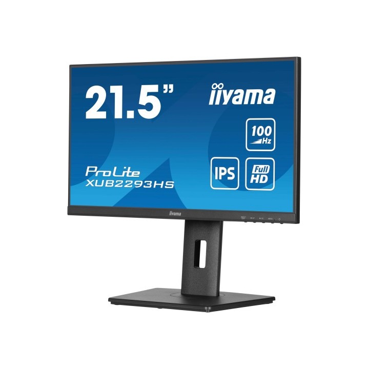 iiyama monitor iiyama  tft 21,5"/54,5cm prolite
