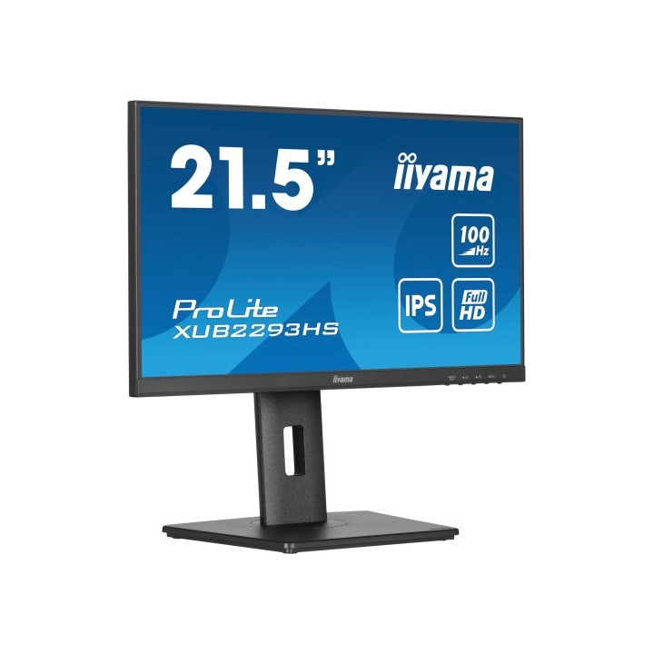 iiyama monitor iiyama  tft 21,5"/54,5cm prolite