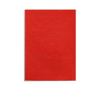 c.100 port. fellowes a4 250gr rojo simil piel