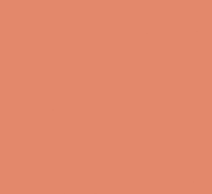 pack 25h cartulina iris 50x65 185gr coral