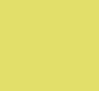pack 25h cartulina iris 50x65 185gr kiwi
