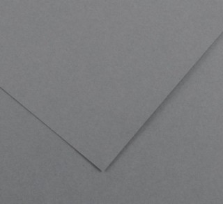 pack 25h cartulina iris 50x65 gris plomo