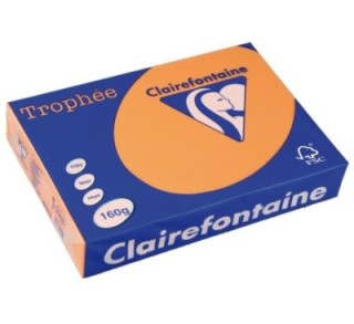paq. 250h pap. trophee clf suave a4 160g clement.