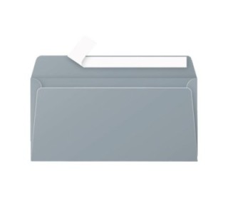 paq 20 sobres clairefontaine 110x220 plata