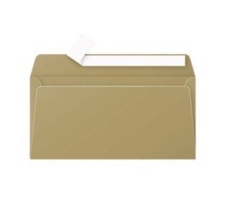 paq 20 sobres clairefontaine 110x220 oro