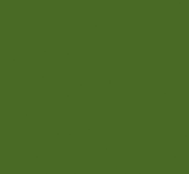pack 50h cartulina iris a4 185gr ve safari