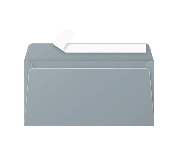 paq 20 sobres clairefontaine 110x220 plata