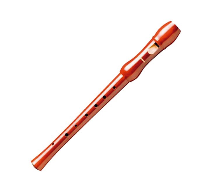 flauta madera barnizada 2 piezas hohner 9555