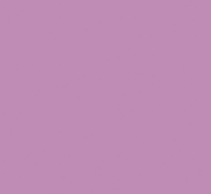 pack 50h cartulina iris a4 185gr malva