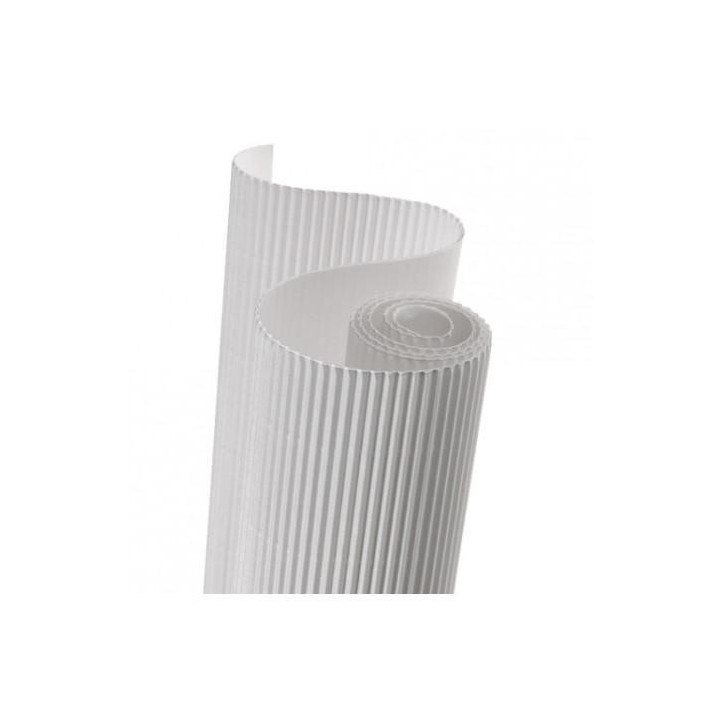 rollo carton ond canson 0.5x0.7 blanco
