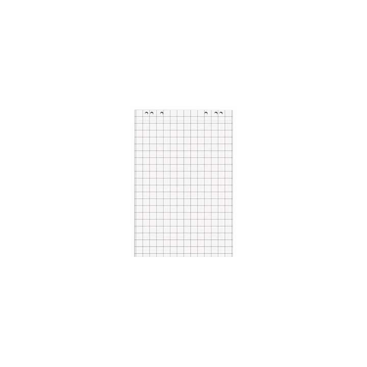 p. 5 bloc 20h pap piza a series liso/cuad 68x98cm