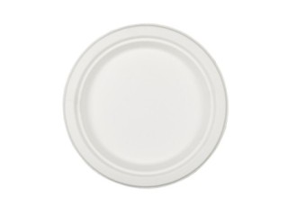 bo. 50 platos nupik grande 225mm bagazo