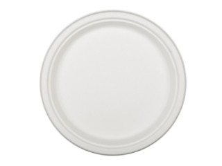 bo. 50 platos nupik extra grande 260mm bagazo