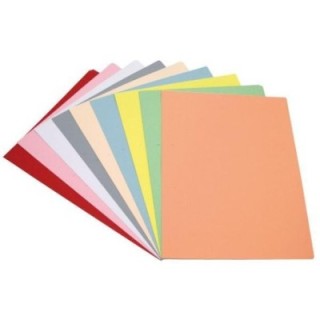 c.50 subcarpetas a4 180g gris