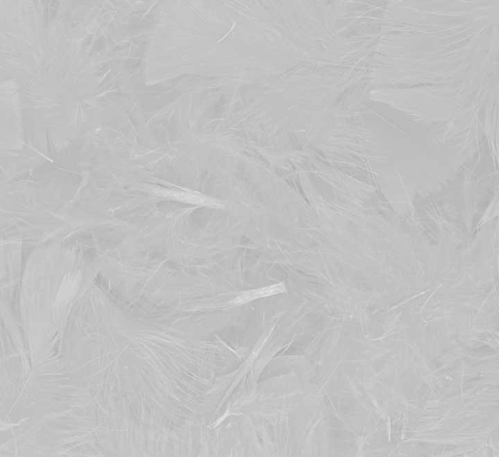 b. plumones innspiro 75mm 14gr blanco