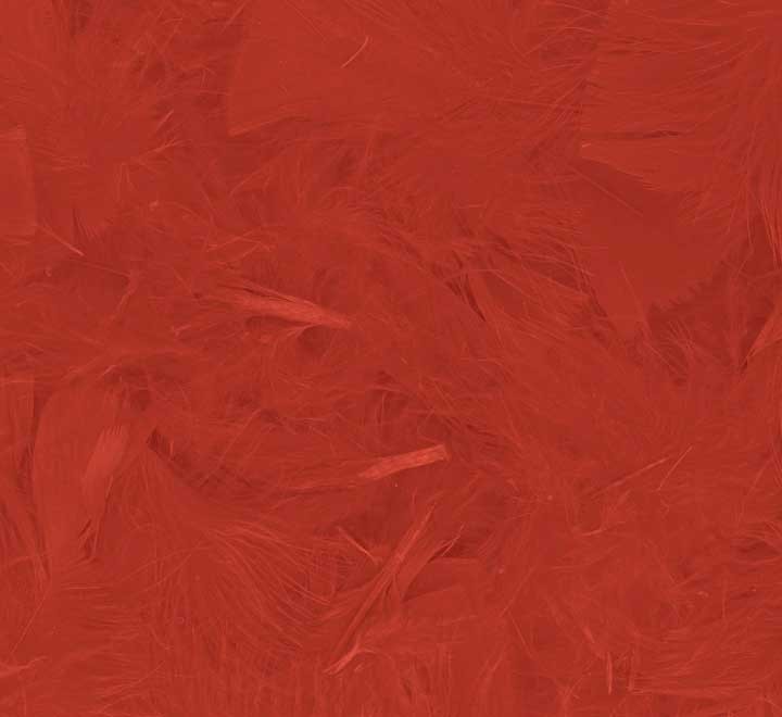 b. plumones innspiro 75mm 14gr rojo