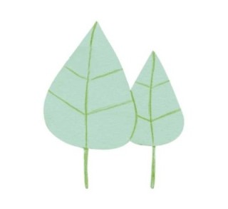 b.3u cartul.magnet. niefenver 24x15cm ver. 1300158