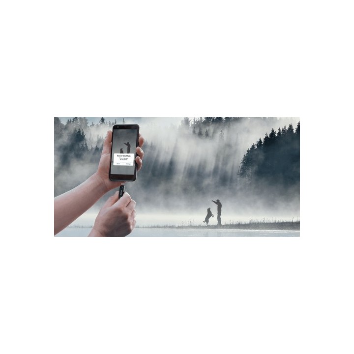 sandisk sandisk ultra dual drive go unidad flash usb 32 gb usb type a / usb type c 3.2 gen 1  3.1 ge