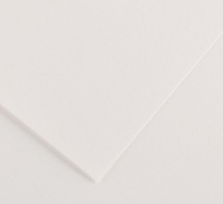 pack 25h cartulina iris 50x65 blanco 200040218