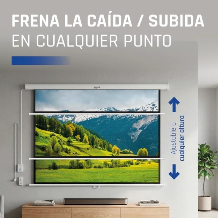 iggual pantalla el?ctrica 1 1 100" 180x180 cm