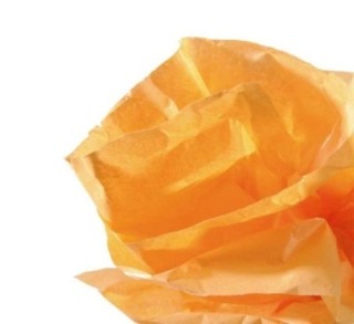 r. papel seda canson 0.5x5m naranja 200992661