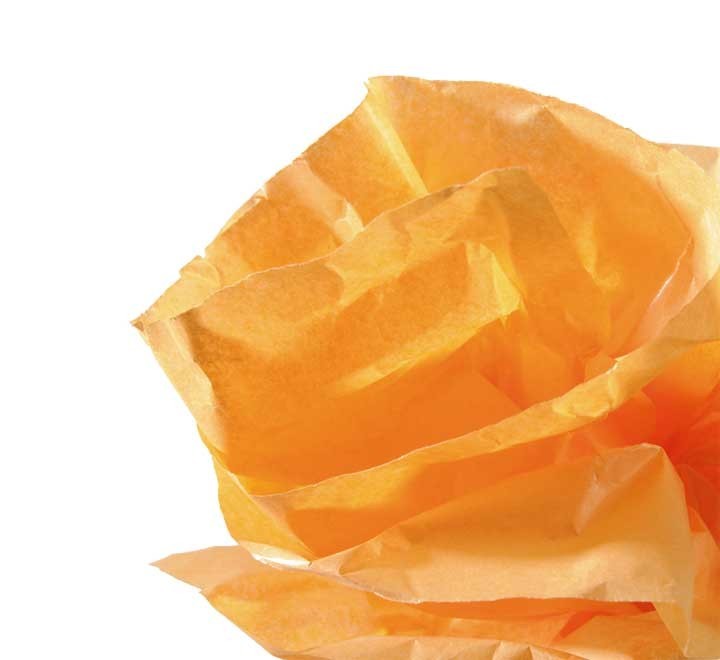 r. papel seda canson 0.5x5m naranja 200992661
