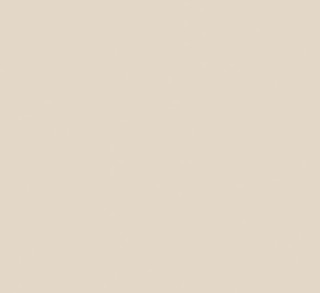b.5h goma eva adh. fixo 40x60 00037543 beige