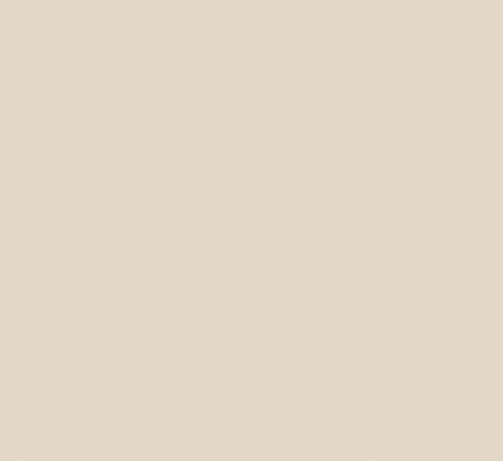 b.5h goma eva adh. fixo 40x60 00037543 beige