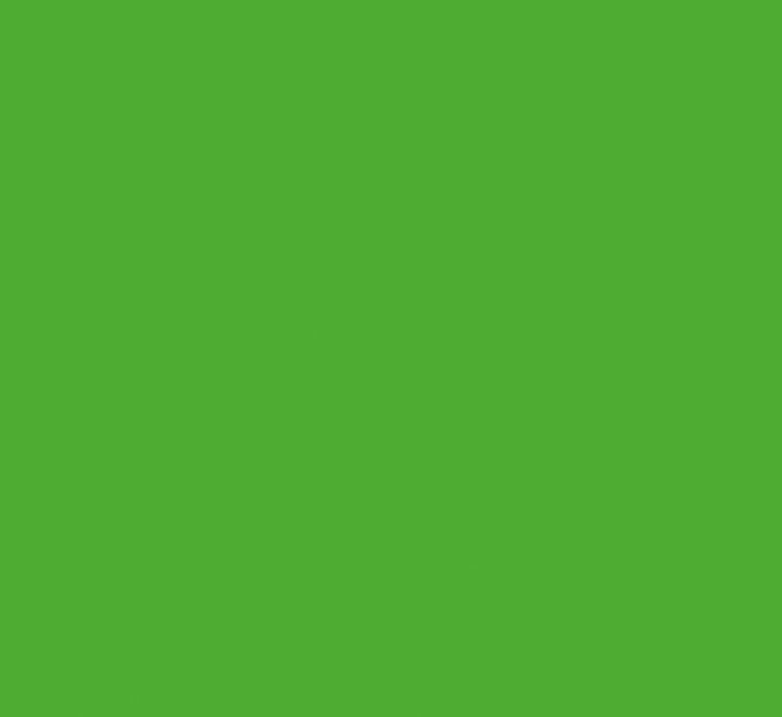 b.5h goma eva adh. fixo 40x60 00037521 ve clar