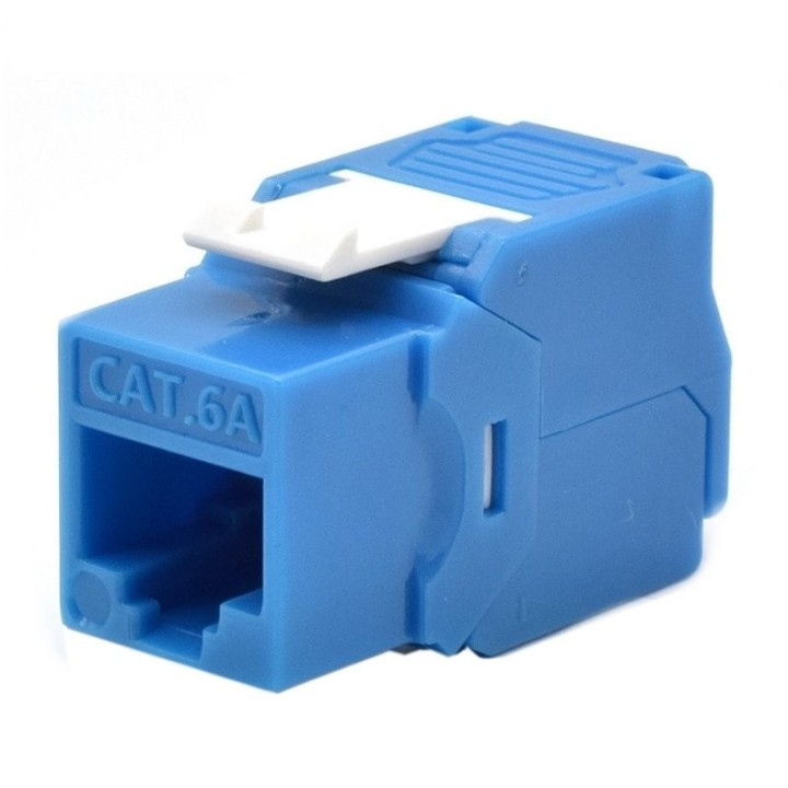 wp keystone cat. 6a utp rj45/hembra azul