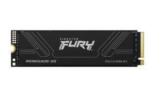 kingston kingston technology 2t fury renegade g5 m.2 2280 nvme ssd