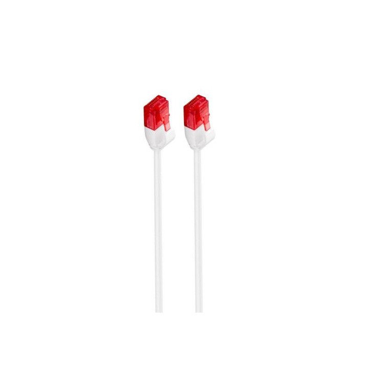 ewent im1035 cable de red 0,25 m cat6 u/utp (utp) blanco