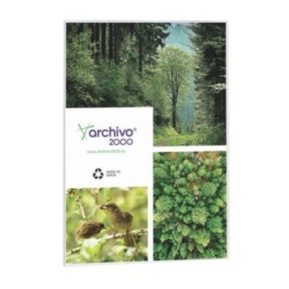 exp. mural adh. archivo 2000 a5 vert.6155 tp cs tp