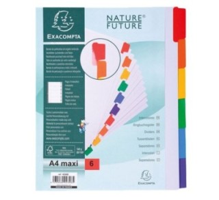 sep. cart. exacompta a4+ 6pos. 160gr bl+pest col.