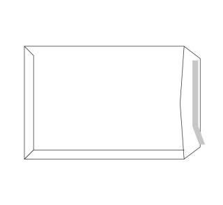 c.250 bolsas uso gral. sam 100gr 229x324 v.izda bl