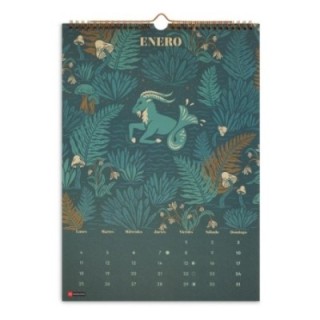 cale pared 27 mr trends astral a3