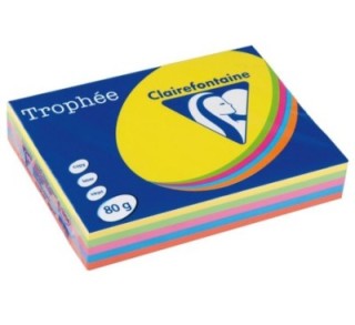 paq. 500h pap. trophee clf intenso a4 80g stdo