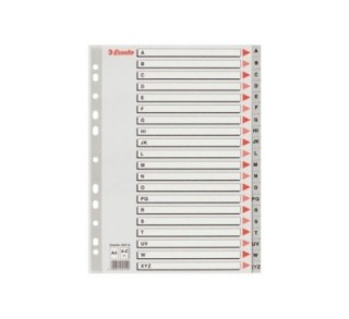 indice esselte abc pp a4 az con carat gris
